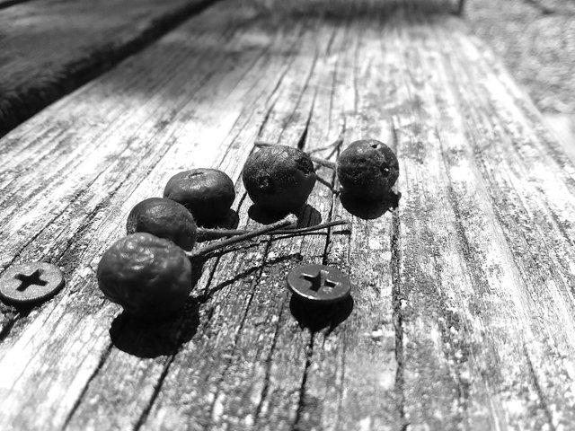 driedberries.jpg