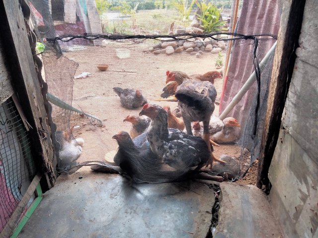 IMG20250801153907.jpg
