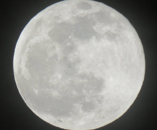 closeup full moon Jan 10 2020.JPG