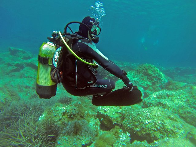 klimascuba-diver-1062895_1280.jpg