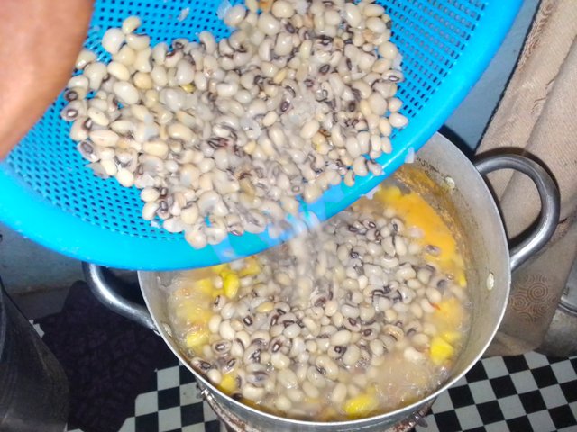 IMG_20250909_182540_147.jpg