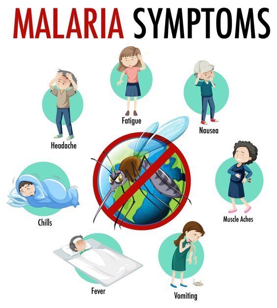 malaria-symptom-information-infographic_1308-52282.jpg