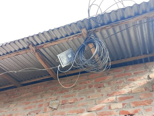 1000044630.jpg