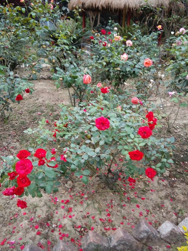 Rajhat Temple, bandel2.jpg