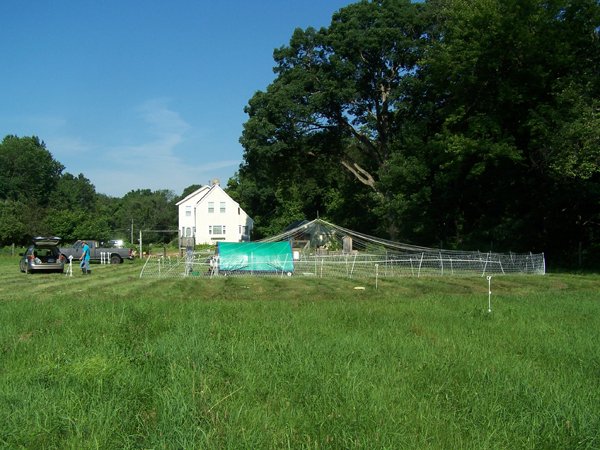 Building pasture pen - nearly done crop July 2019.jpg