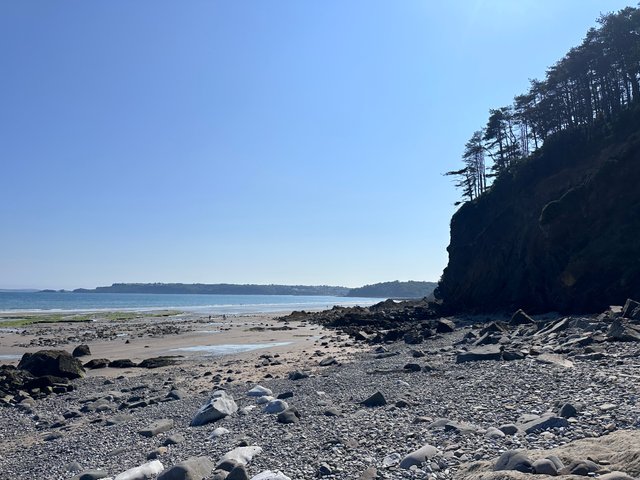 162020CA-0FA3-425A-89CA-56626143F283.jpeg