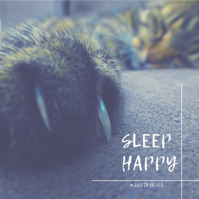 sleep happy.jpeg