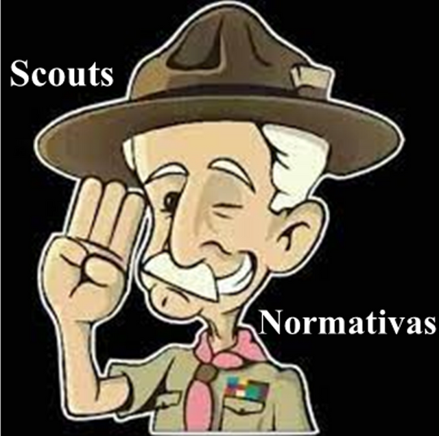 Scouts normativas.png