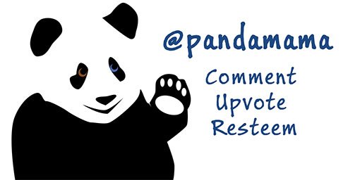 Panda for steemit.jpg