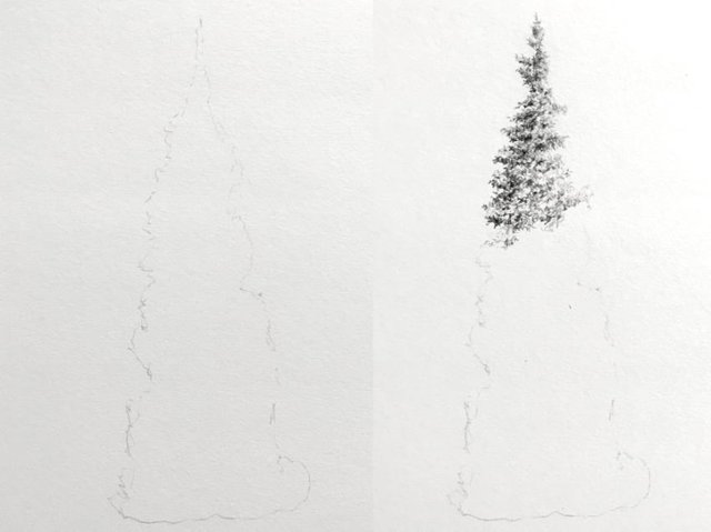 steps-for-drawing-a-tree-with-pencils.jpg