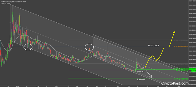 tenxpay token paybtc forecast prediction.png