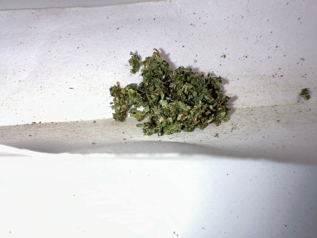 IMG_0660.jpeg