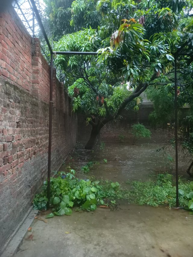 IMG20250710092832.jpg