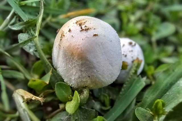 20250324_181337~2.jpg