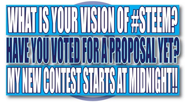WHAT IS YOUR VISION OF STEEM.png