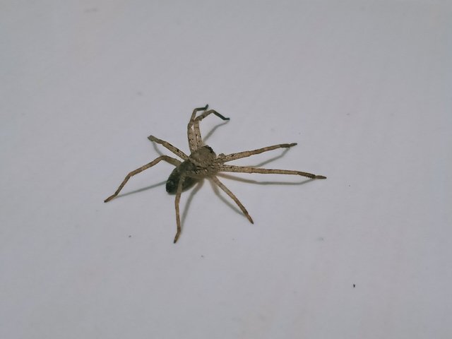 IMG20250329040925.jpg