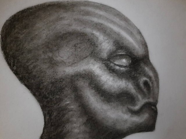 20251007_104515.jpg