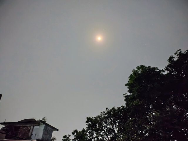 1000032401.jpg
