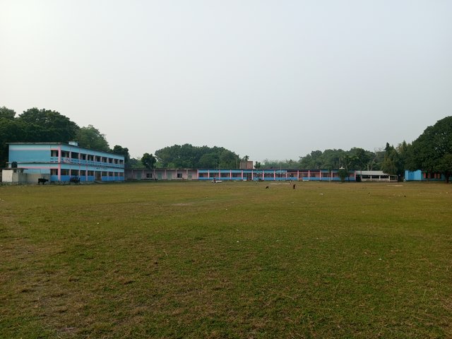 IMG_20241114_162111_887.jpg