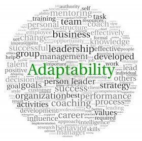13764434-adaptability-concept-in-word-tag-cloud-on-white-background.jpg