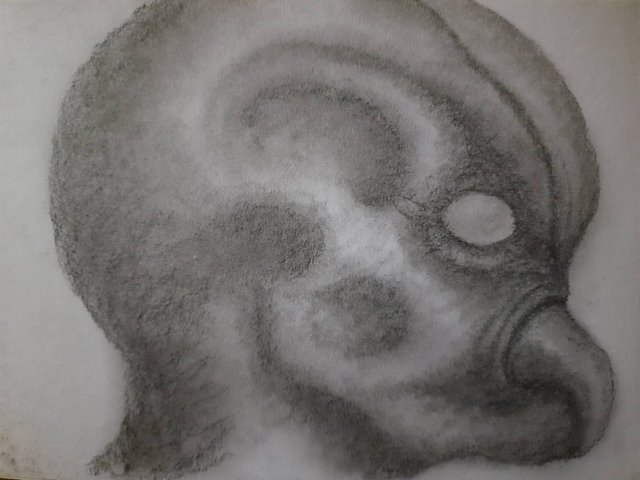20250426_110108.jpg