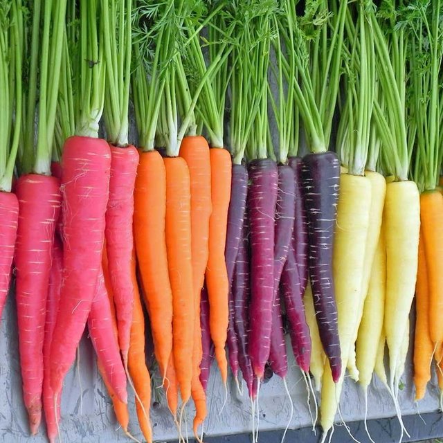 carrot-colour-mix-1ljcc92(1).jpg