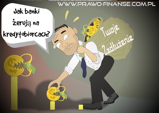 zeruja (1).jpg