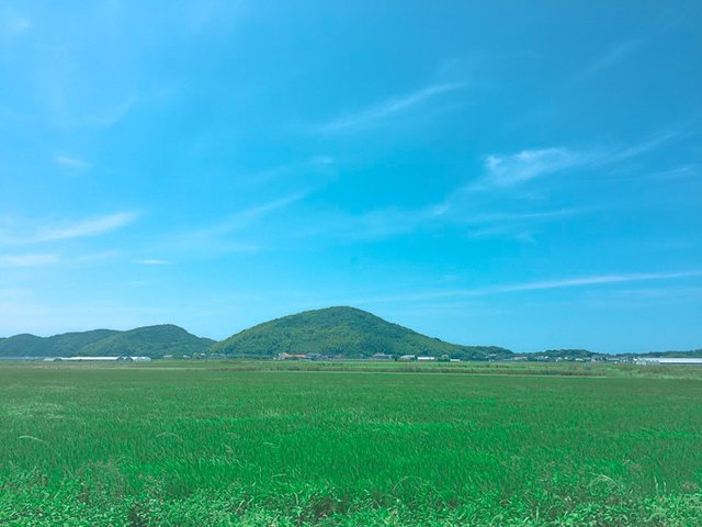 KakaoTalk_Photo_2018-08-17-18-23-51_72.jpg