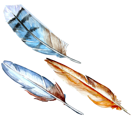 bird Feathers, handpainted Watercolor, colored Feathers, feather, watercolor, peacock Feather, watercolor Background, feathers, watercolor Leaves, Handpainted, c.png
