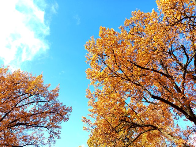 20211018_115605.jpg