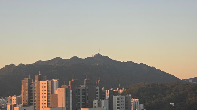 1000137218.jpg