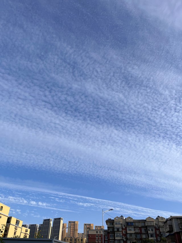 IMG_0320.jpeg