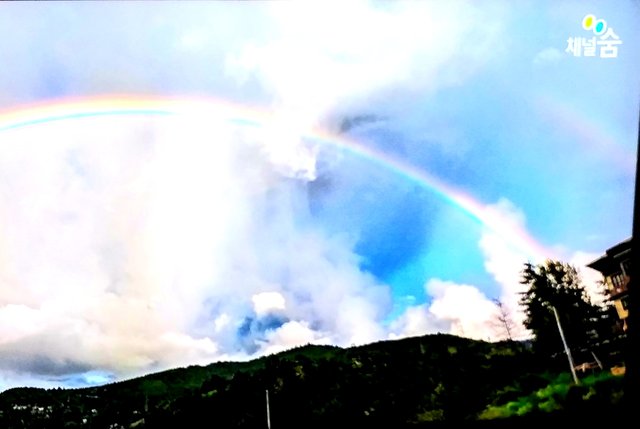 20201226_132802.jpg