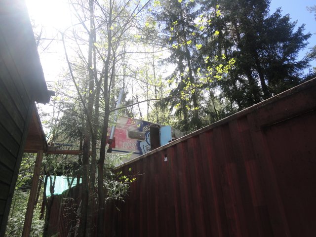 DSC03969.JPG