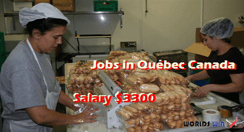 biscuit packer jobs in québec canada.PNG