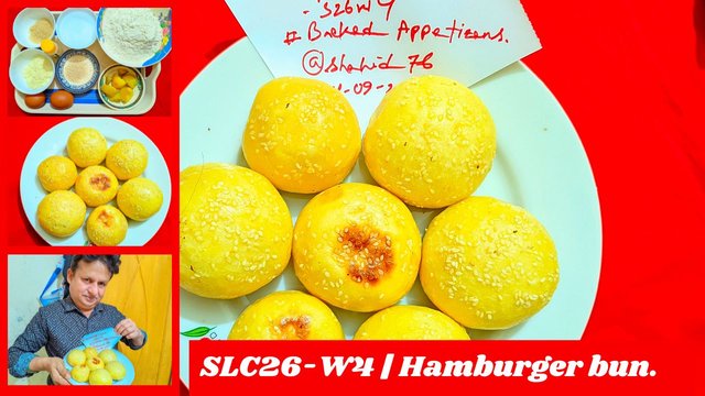 SLC26-W4  Hamburger bun. (1).jpg