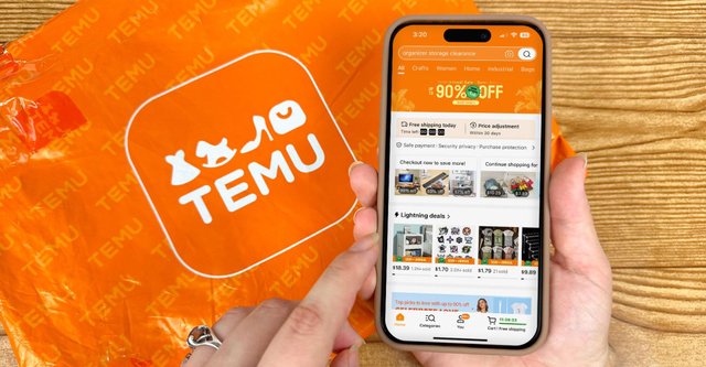 TEMU (1).jpg