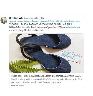 zapatillas twit2.jpg