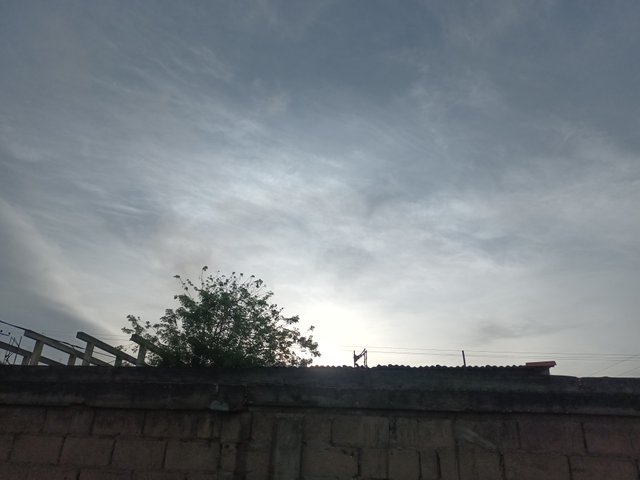 20250419_171025.jpg