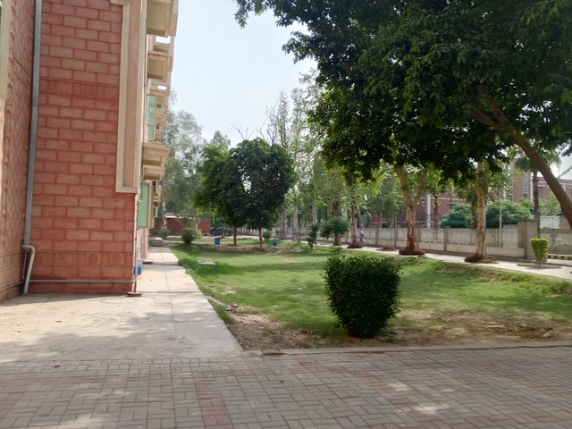 1000032984.jpg