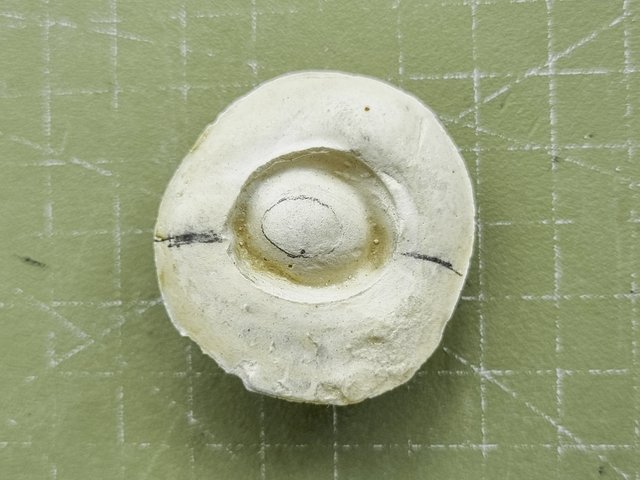 20250724_092929.jpg