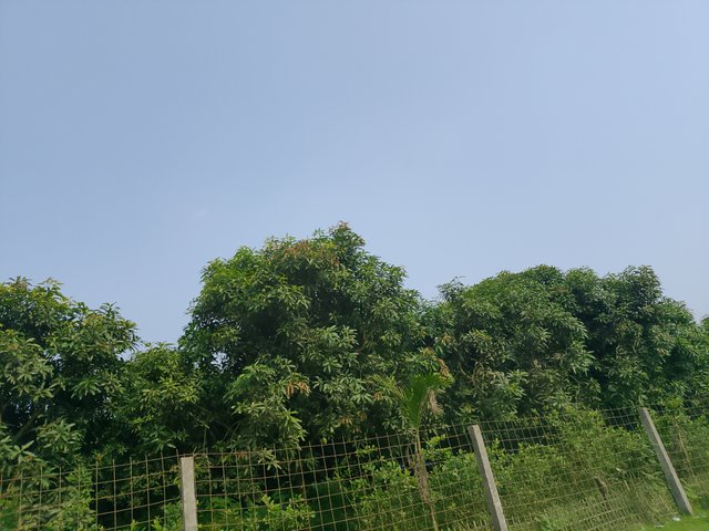 1000040968.jpg