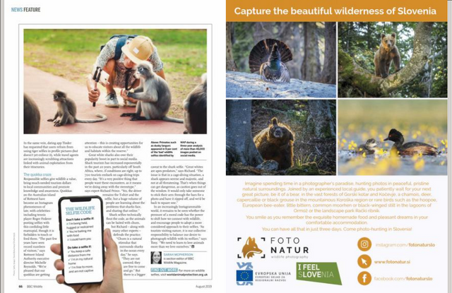 Screenshot 2021-08-17 at 18-35-08 BBC Wildlife August 2019 Free Download, Borrow, and Streaming Internet Archive.png