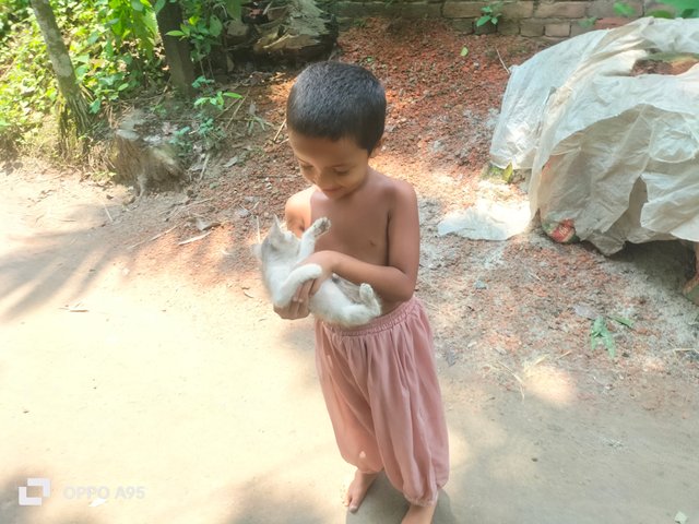 IMG20250606113003.jpg