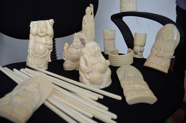 4.2 Ivory trade,illegal products seized by PALF, Arthur, Congo,2015.jpg