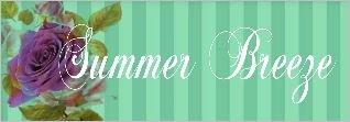 summer breeze banner.JPG