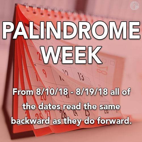 palindrome week.jpg