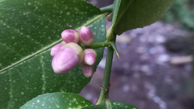 20250603_182036.jpg