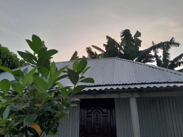 1000087748.jpg