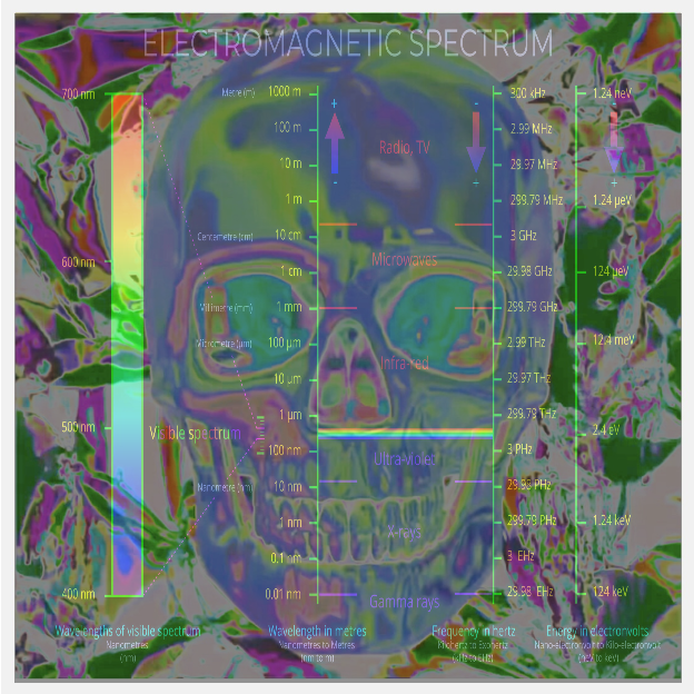 SKULL EMF.png